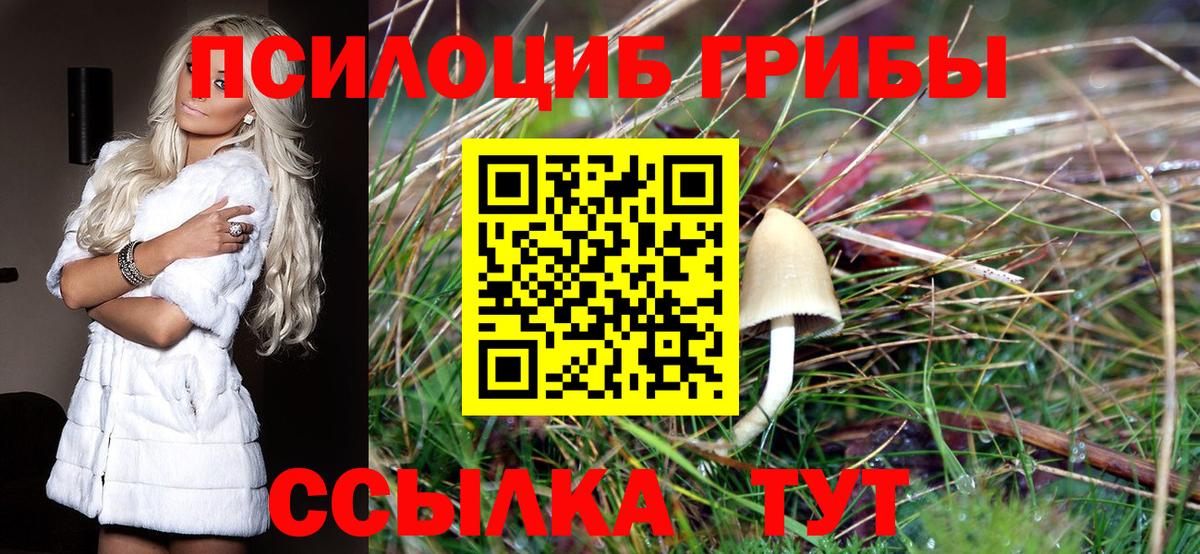 наркота  Псилоцибиновые грибы мухоморы  Вход с VPN  Пыть-Ях 